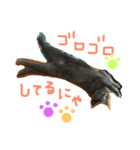 ブリショーらんちゃん♡（個別スタンプ：8）