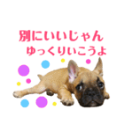 フレンチブルドッグ LOCO No.5（個別スタンプ：15）