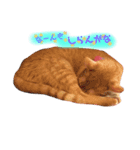 わが家のきなこ（個別スタンプ：1）
