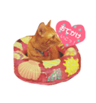 わが家のきなこ（個別スタンプ：2）