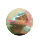 カエルのにくづめ（個別スタンプ：4）
