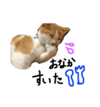 ねこねこのこのこ（個別スタンプ：10）