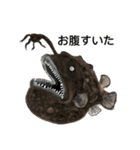 シュールな水族館（個別スタンプ：19）
