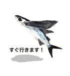 シュールな水族館（個別スタンプ：27）