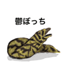 シュールな水族館（個別スタンプ：28）