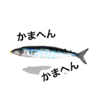 シュールな水族館（個別スタンプ：31）