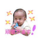 つばちゃん スタンプ（個別スタンプ：20）