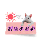 ねこねこ☆③（個別スタンプ：2）