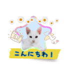 ねこねこ☆③（個別スタンプ：3）