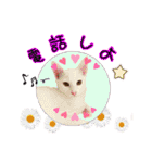 ねこねこ☆③（個別スタンプ：19）