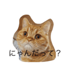 茶トラねこのちゃあ 2（個別スタンプ：9）