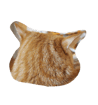 茶トラねこのちゃあ 2（個別スタンプ：32）