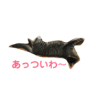みかん 一言（個別スタンプ：2）