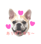 はじめまして、おもちと申します（個別スタンプ：1）