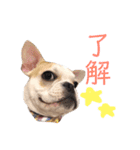 はじめまして、おもちと申します（個別スタンプ：5）