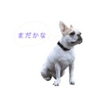 はじめまして、おもちと申します（個別スタンプ：8）