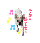 はじめまして、おもちと申します（個別スタンプ：13）