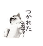 はじめまして、おもちと申します（個別スタンプ：16）