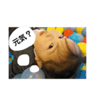 はなはにさいです（個別スタンプ：14）