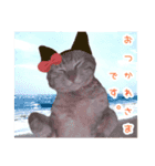 私の可愛らしい猫（個別スタンプ：7）