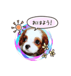 リンゴさんスタンプ（個別スタンプ：1）
