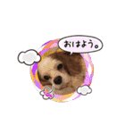 リンゴさんスタンプ（個別スタンプ：2）