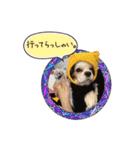 リンゴさんスタンプ（個別スタンプ：7）