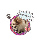 リンゴさんスタンプ（個別スタンプ：8）