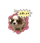 リンゴさんスタンプ（個別スタンプ：10）