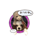 リンゴさんスタンプ（個別スタンプ：13）