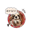 リンゴさんスタンプ（個別スタンプ：14）