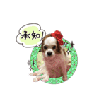 リンゴさんスタンプ（個別スタンプ：15）