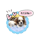 リンゴさんスタンプ（個別スタンプ：16）