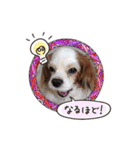 リンゴさんスタンプ（個別スタンプ：18）
