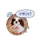 リンゴさんスタンプ（個別スタンプ：19）