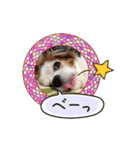 リンゴさんスタンプ（個別スタンプ：20）