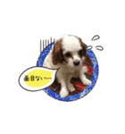リンゴさんスタンプ（個別スタンプ：26）