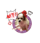 リンゴさんスタンプ（個別スタンプ：27）
