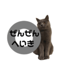 たろすけのことば2（個別スタンプ：4）