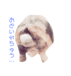 小動物たち。（個別スタンプ：3）