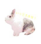 小動物たち。（個別スタンプ：7）
