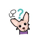 毛無し犬アンコ（個別スタンプ：6）