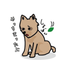 毛無し犬アンコ（個別スタンプ：9）