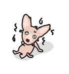 毛無し犬アンコ（個別スタンプ：10）