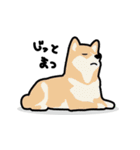 毛無し犬アンコ（個別スタンプ：14）