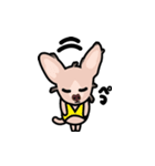 毛無し犬アンコ（個別スタンプ：20）