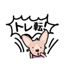 毛無し犬アンコ（個別スタンプ：22）