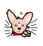 毛無し犬アンコ（個別スタンプ：23）