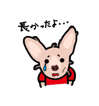 毛無し犬アンコ（個別スタンプ：28）