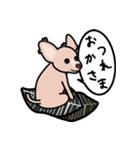 毛無し犬アンコ（個別スタンプ：32）